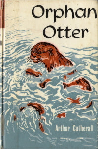 Orphan Otter