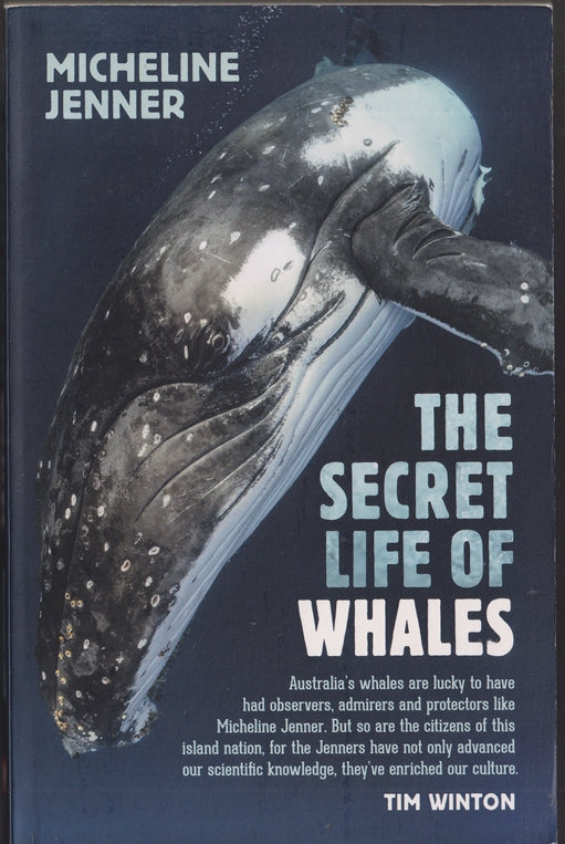 The Secret Life of Whales: A Marine Biologist Reveals All