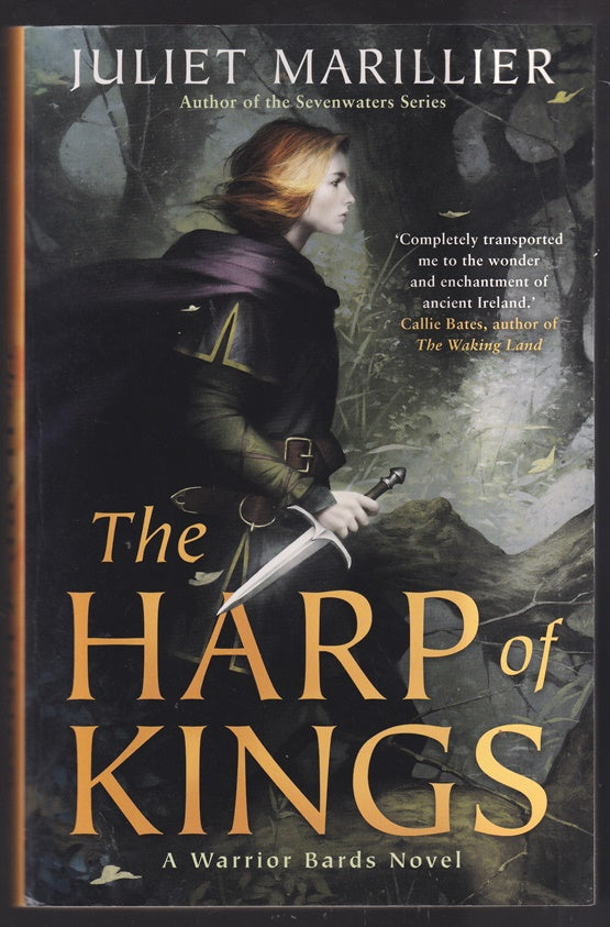 The Harp of Kings: A Warrior Bards Novel 1