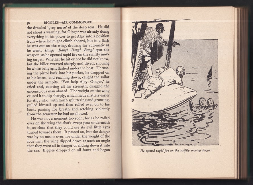 Biggles Air Commodore