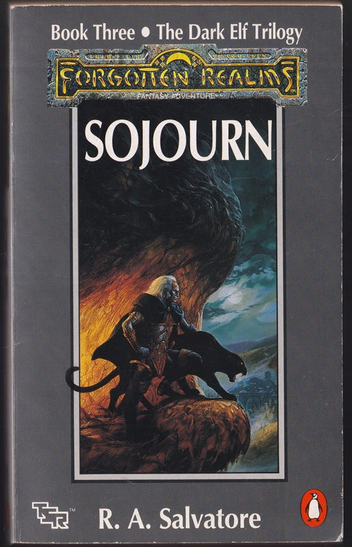Sojourn : Forgotten Realms