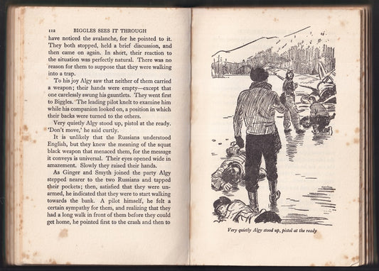 Biggles Sees it Through