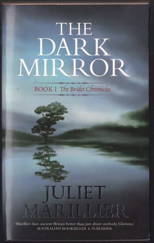 The Dark Mirror (Bridei book 1)
