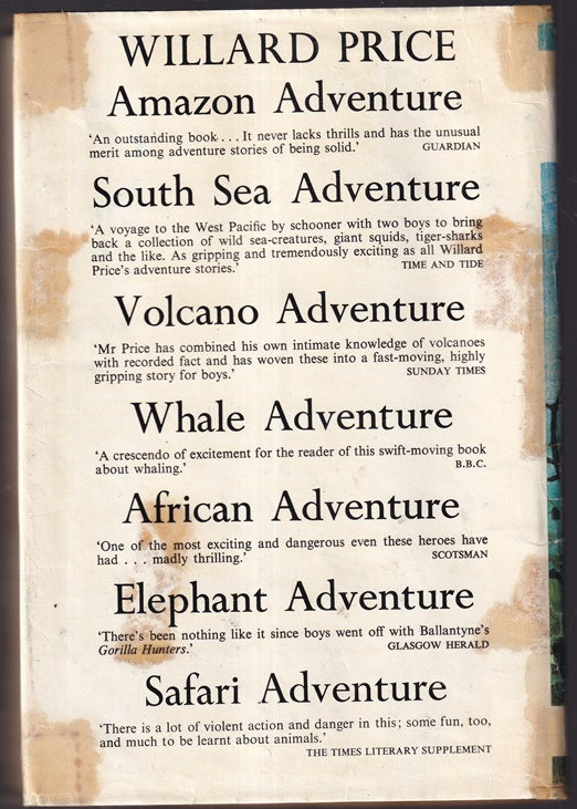Lion Adventure