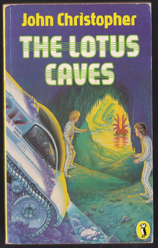The Lotus Caves