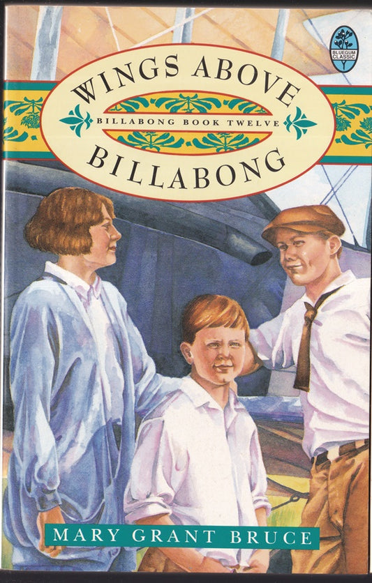 Wings above Billabong ( Billabong #12)