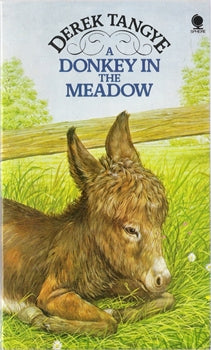 A Donkey in the Meadow