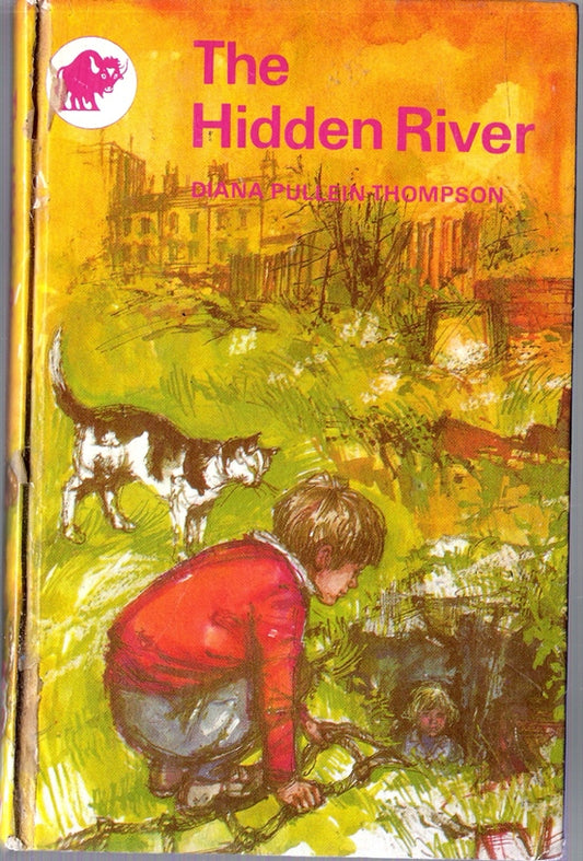 The Hidden River