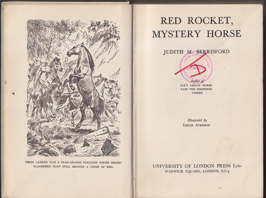 Red Rocket Mystery Horse