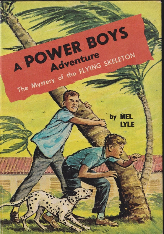 The Mystery of the Flying Skeleton : Power Boys 2