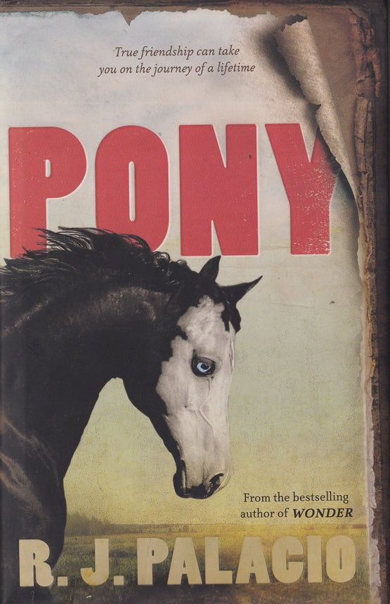 Pony