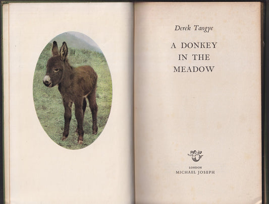A Donkey In The Meadow