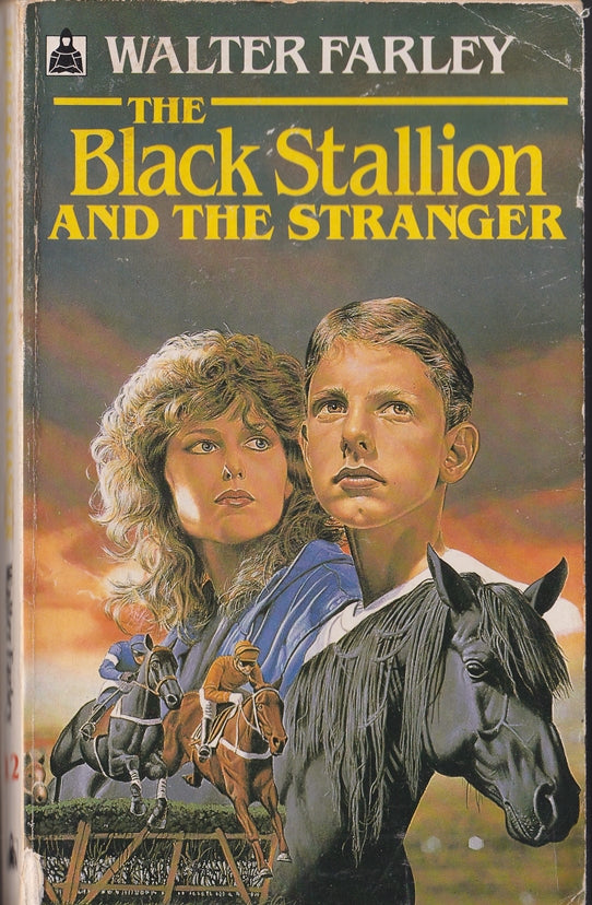 Black Stallion and the Stranger