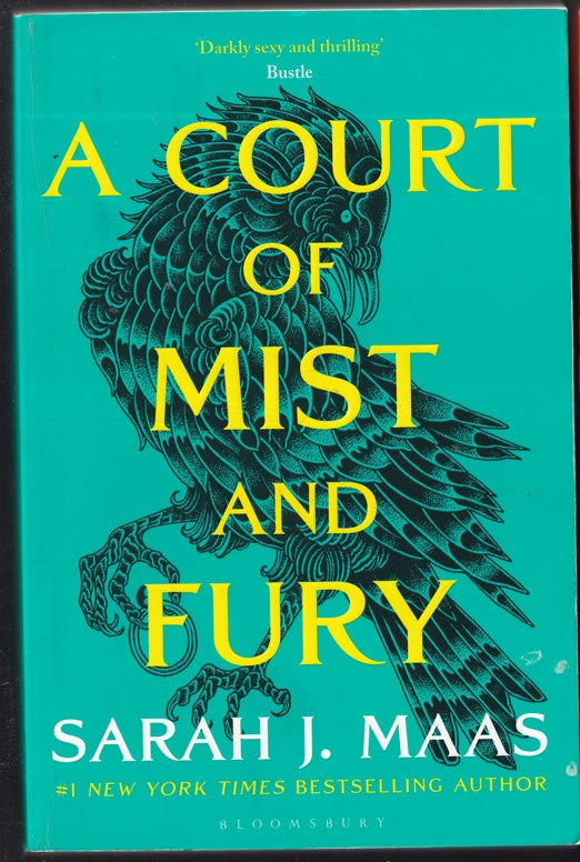 A Court of Mist and Fury:  (A Court of Thorns and Roses)
