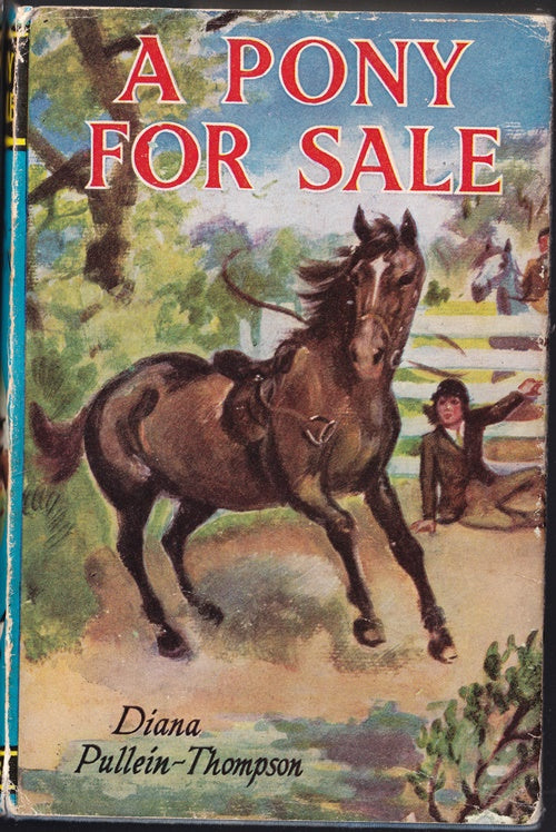 A Pony for Sale
