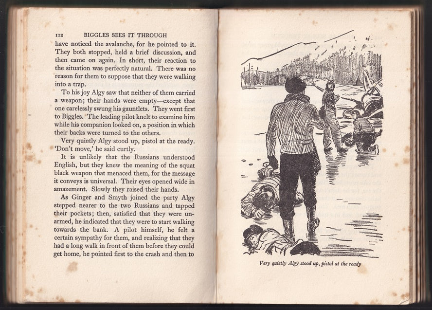 Biggles Sees it Through