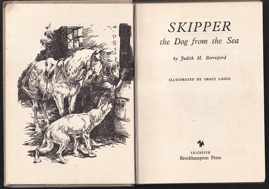 Book cover of 'Skipper the Dog from the Sea' with illustrations and text.