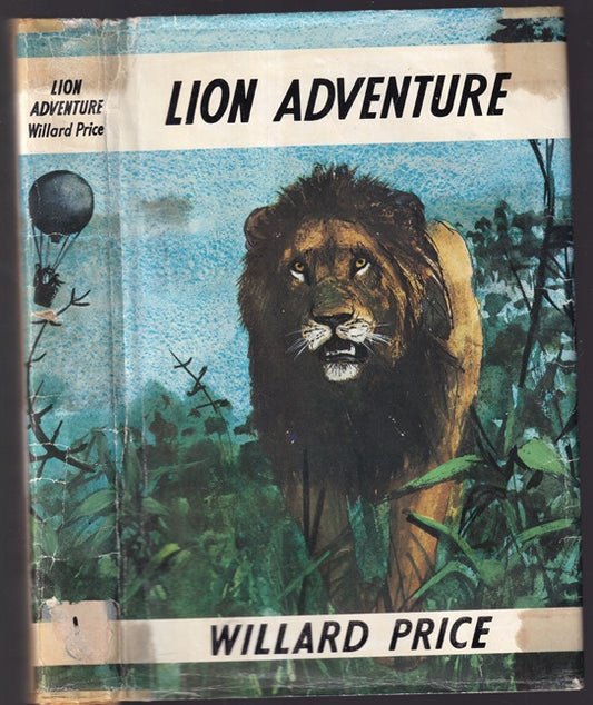 Lion Adventure