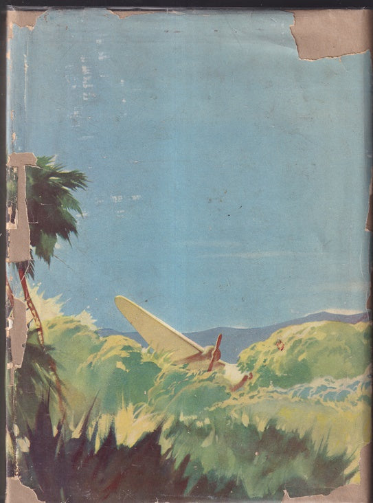 Biggles Flies Again