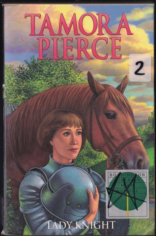 Lady Knight : Book 4 Protector of the Small