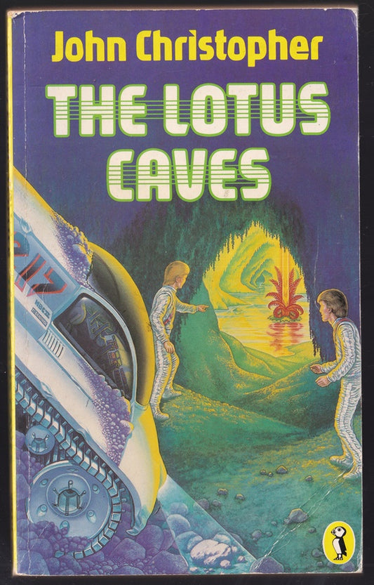 The Lotus Caves