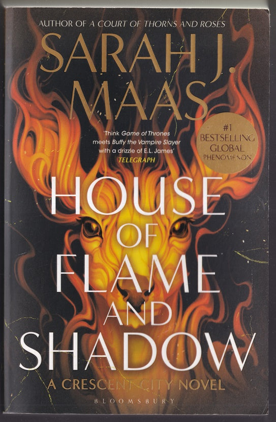 House of Flame and Shadow (Crecent City)