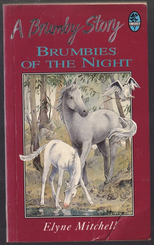 Brumbies of the Night (Silver Brumby series)