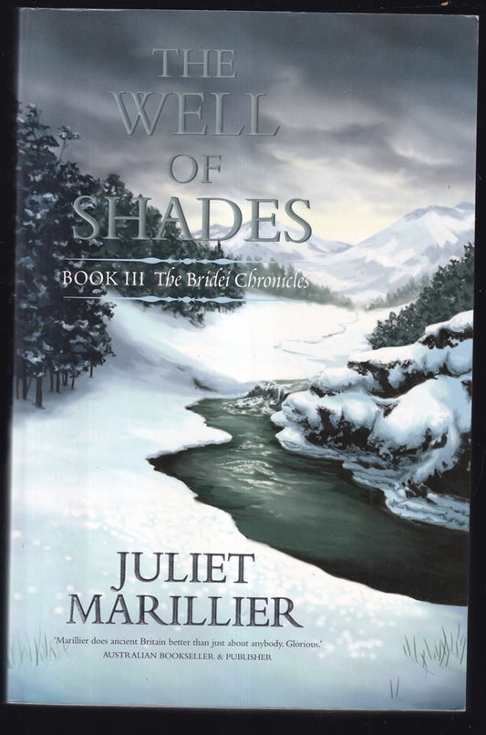 The Well of Shades (The Bridei Chronicles, #3)