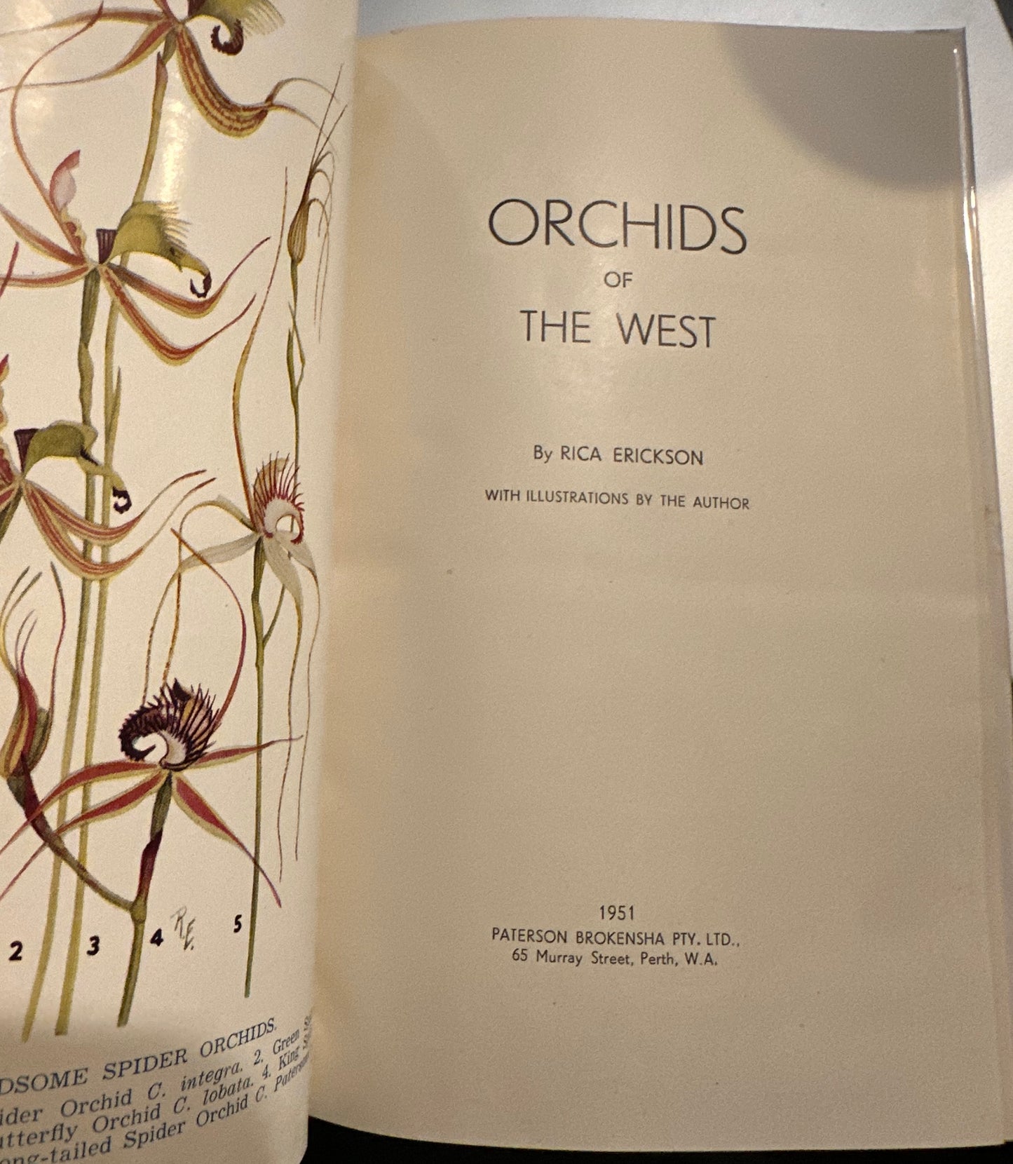 Orchids of the West