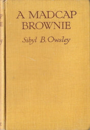 A Madcap Brownie