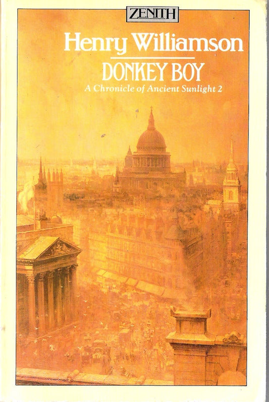 Donkey Boy: Part 2: Phillip Maddison Chronicles of Ancient Sunlight 2