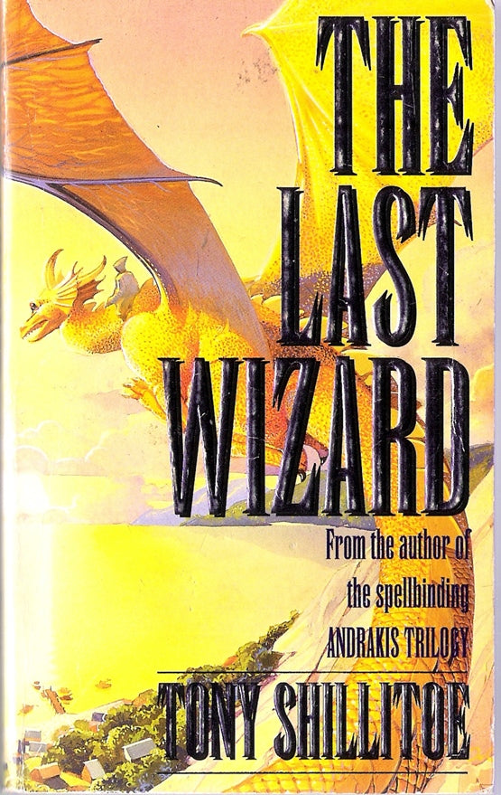 The Last Wizard