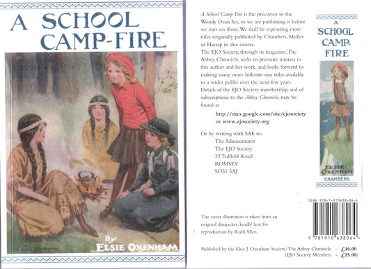 A School Camp Fire (Campfire)