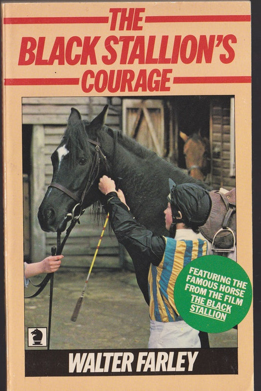 Black Stallion's Courage