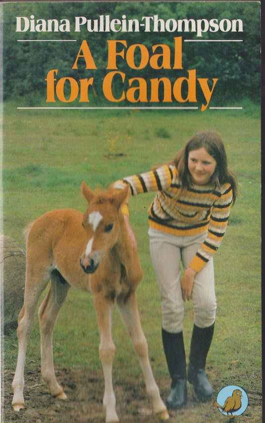 A Foal for Candy