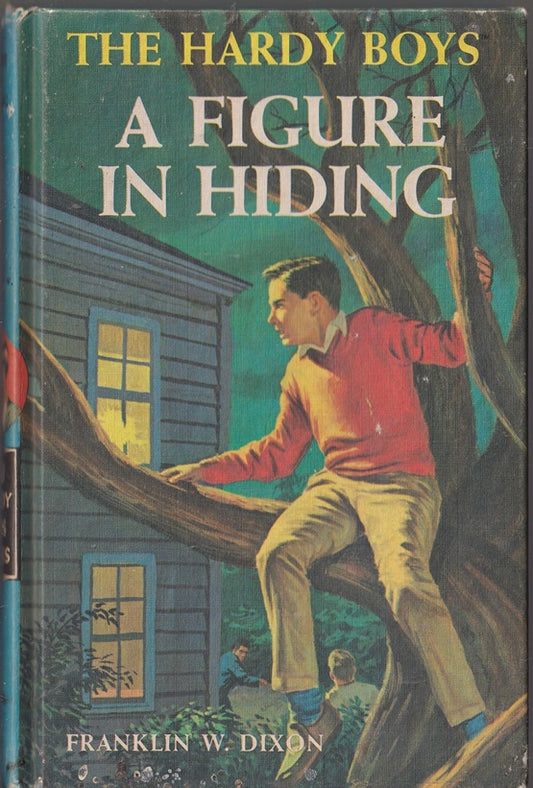 A Figure in Hiding (Hardy Boys, #49)